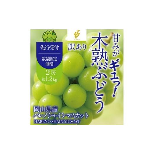 ふるさと納税 ぶどう マスカット 岡山県 玉野市 先行予約 訳あり 木熟ぶどう ハレノシャイン シャインマスカット 2房 約1.2kg 10月〜11月発送 皮ごと食べる み…