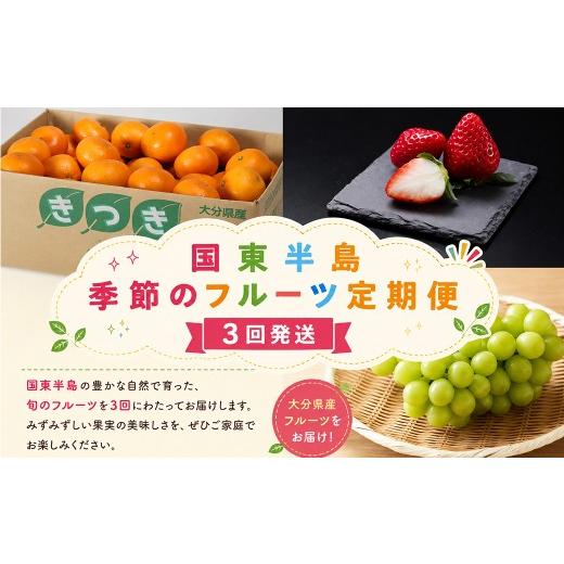 ふるさと納税 ぶどう マスカット 大分県 杵築市 定期便 国東半島 季節のフルーツ定期便 計3回発送 / シャインマスカット おんせん ミカン ベリーツ イチゴ …