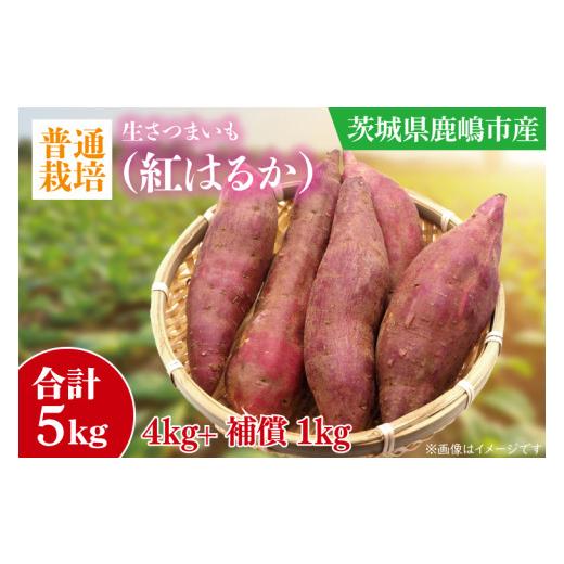 ふるさと納税 野菜類 サツマイモ 茨城県 鹿嶋市 普通栽培 訳あり 紅はるか さつまいも 5kg 生芋 生さつまいも べにはるか 薩摩芋 数量限定 先行予約 根菜 野…