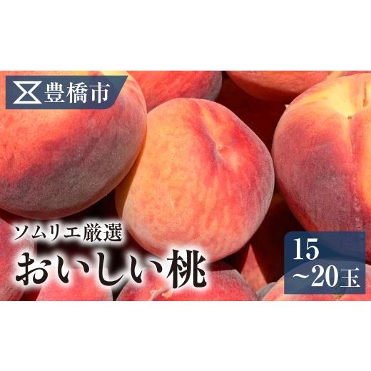ふるさと納税 もも 愛知県 豊橋市 [先行予約]豊橋市産 桃 5kg(15〜20玉・品種おまかせ)もも モモ 旬の品種 産地直送 日川白鳳 みさか白鳳 勘助白桃 なつお…