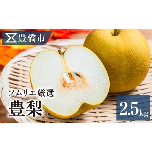 ふるさと納税 梨 愛知県 豊橋市 豊橋市産 梨 2.5kg(5〜8玉・品種おまかせ) 産地直送 旬の品種 幸水 豊水 秋月 新高 くだもの 果物 フルーツ なし デザート …