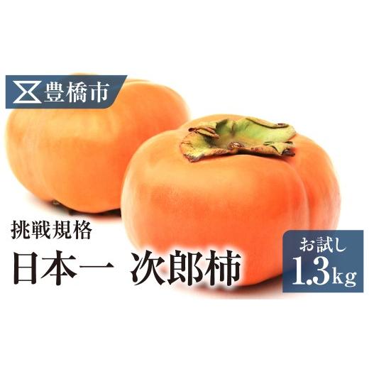 ふるさと納税 果物類 柿 愛知県 豊橋市 [先行予約]豊橋市産 次郎柿 お試し用 1.3kg 産地直送 柿 かき くだもの 果物 フルーツ デザート 愛知県 豊橋市