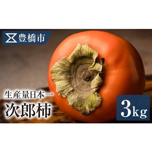 ふるさと納税 果物類 柿 愛知県 豊橋市 [先行予約]豊橋市産 次郎柿 正品 3kg 産地直送 柿 かき くだもの 果物 フルーツ デザート 愛知県 豊橋市