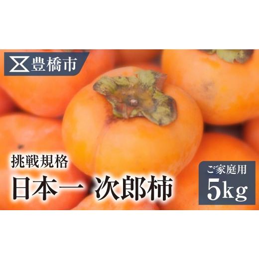 ふるさと納税 果物類 柿 愛知県 豊橋市 [先行予約]豊橋市産 次郎柿 ご家庭用 5kg 産地直送 柿 かき くだもの 果物 フルーツ デザート 愛知県 豊橋市