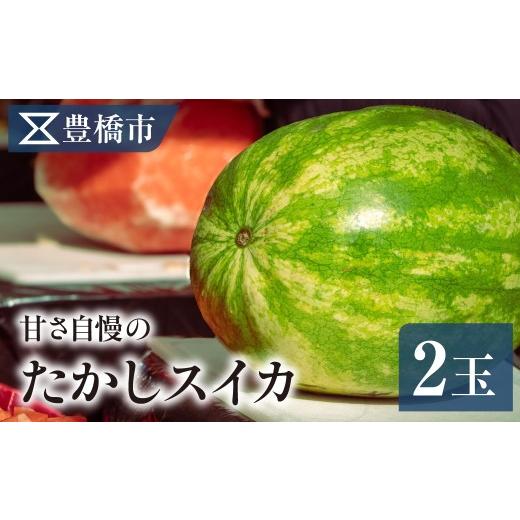 ふるさと納税 果物類 柿 愛知県 豊橋市 [先行予約] 豊橋市産 たかしすいか 2玉(計15kg) 産地直送 スイカ 銀河 縞無双 羅王