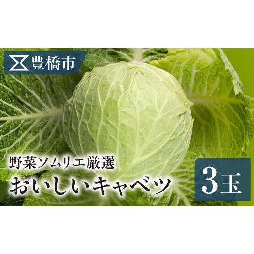 ふるさと納税 野菜類 愛知県 豊橋市 [先行予約]豊橋市産 キャベツ 3玉(計3.5kg) 産地直送