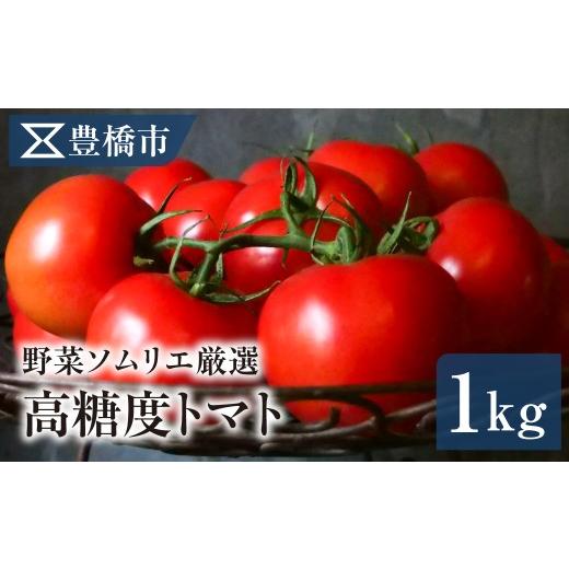 ふるさと納税 野菜類 トマト 愛知県 豊橋市 [先行予約]豊橋市産 高糖度トマト 1kg 産地直送