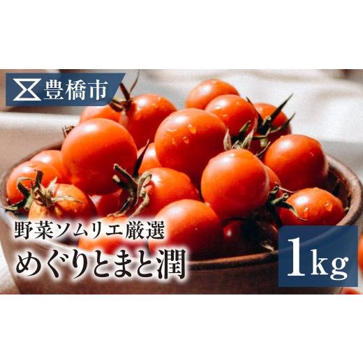 ふるさと納税 トマト ミニトマト 愛知県 豊橋市 [先行予約]豊橋市産 めぐりとまと潤(ミニトマト)1kg 産地直送