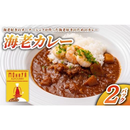 ふるさと納税 加工品等 レトルト 奈良県 奈良市 海老カレー 2パック レトルト カレー えび シーフード レトルトカレー 簡単調理 カレーライス 昼食 お昼ごはん…