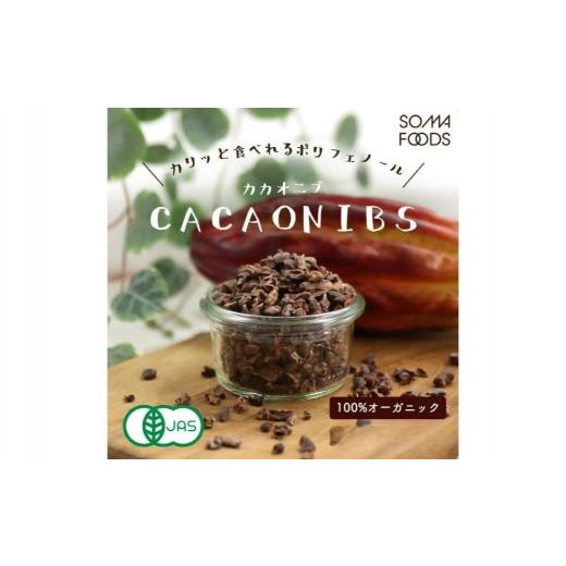 ふるさと納税 乾物 神奈川県 川崎市 カカオニブ500g×2袋セット カカオ豆 焙煎 チップ ポリフェノール 食物繊維 加工品