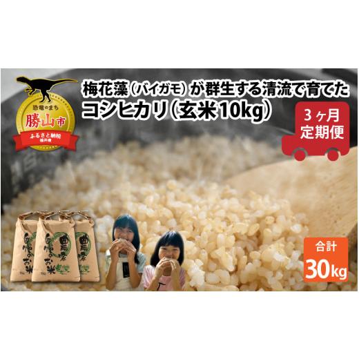 ふるさと納税 米 コシヒカリ 福井県 勝山市 通常販売 令和8年産 梅花藻が群生する清流で育てたコシヒカリ(玄米 10kg)3か月定期便 計30kg 2026年9月10日以降…