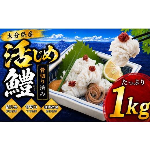 ふるさと納税 魚貝類 鱧 大分県 杵築市 大分県産活じめ鱧(はも)1本物 たっぷり 1キロ 骨切り切身 / 鱧 湯引き 鱧しゃぶ はも ハモ はもしゃぶ ハモしゃぶ …
