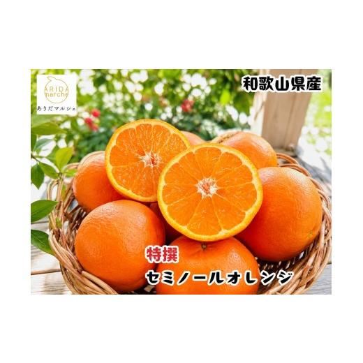 ふるさと納税 みかん・柑橘類 和歌山県 由良町 厳選 有田 育ちの爽快 セミノールオレンジ 7.5kg+200g(補償分) / みかん 高級 くだもの 晩柑 柑橘 和歌山 202…