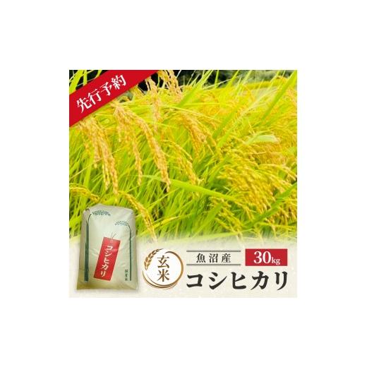 ふるさと納税 玄米 新潟県 魚沼市 令和8年産 新米先行受付 魚沼産コシヒカリ 特別栽培米 (玄米) 30kg 米 コメ こしひかり ブランド米 お取り寄せ 魚沼市