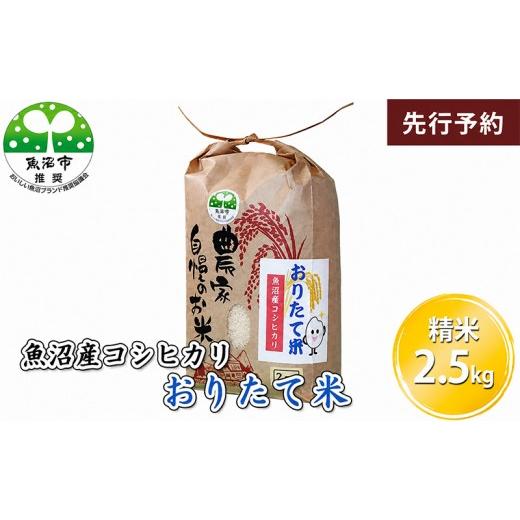 ふるさと納税 米 コシヒカリ 新潟県 魚沼市 先行予約 令和8年産 魚沼産コシヒカリ おりたて米 (精米)2.5kg お米