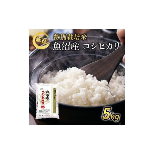 ふるさと納税 米 コシヒカリ 新潟県 魚沼市 先行予約 令和8年産 特別栽培米 お米アドバイザー厳選 魚沼産コシヒカリ (精米) 5kg ( 米 精米 白米 お米 こめ …