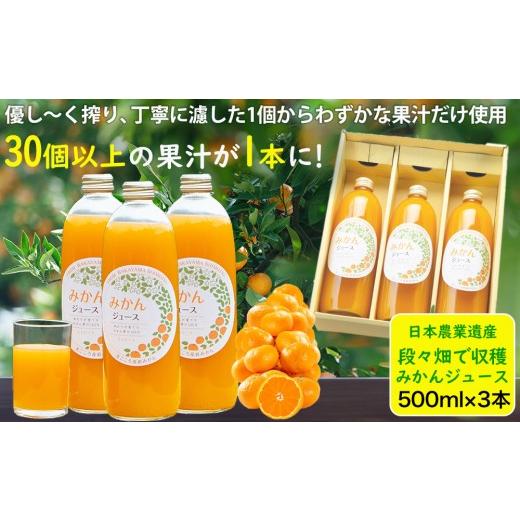 ふるさと納税 果汁飲料 みかん 和歌山県 海南市 [定期便 毎月発送・全3回] 下津蔵出しみかん ジュース 500ml×3本 まごころ産直みかんより直送 果汁100% 農…