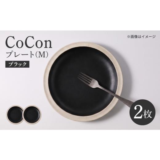 ふるさと納税 食器・グラス セット 長崎県 波佐見町 波佐見焼 CoCon プレートM ブラック 2枚セット 大貴セラミックス