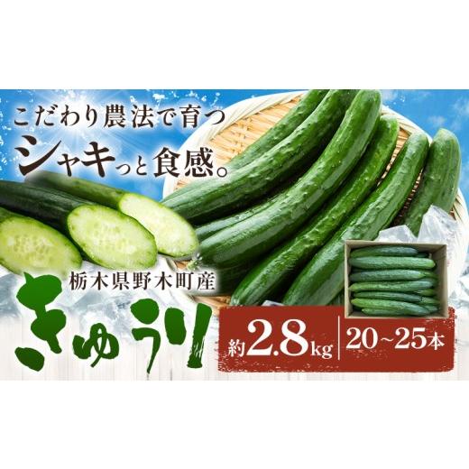 ふるさと納税 野菜類 栃木県 野木町 きゅうり 約2.8kg 20本 〜 25本 野菜 胡瓜 秋山農園 [9月中旬-11月末頃出荷予定]栃木県 野木町 サラダ 漬物