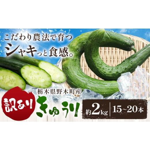 ふるさと納税 野菜類 栃木県 野木町 きゅうり 訳あり 約2kg 15本 〜 20本 野菜 胡瓜 秋山農園 [9月中旬-11月末頃出荷予定]栃木県 野木町 サラダ 漬物 ワケア…