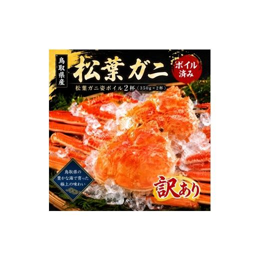 ふるさと納税 カニ 松葉ガニ 鳥取県 米子市 先行予約受付中 訳あり 松葉ガニ姿ボイル2杯(350g×2杯)