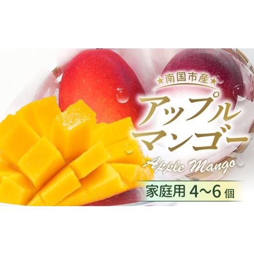 ふるさと納税 マンゴー 高知県 南国市 先行予約 家庭用アップルマンゴー 2kg(2027年6月〜発送)| 高知県産 マンゴー アップルマンゴー フルーツ 果物 厳選 …