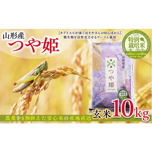 ふるさと納税 玄米 山形県 山形市 令和7年度産 山形産 「つや姫」10kg (玄米) 特別栽培米 8割減農薬・9割減化学肥料(当地比) カブトエビが泳ぐほそやさんの…