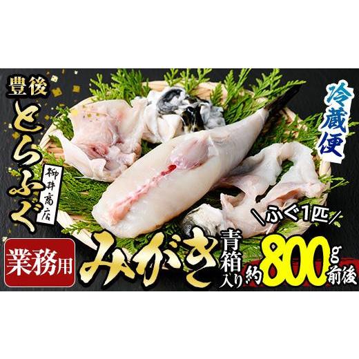 ふるさと納税 フグ 大分県 佐伯市 業務用 豊後とらふぐ 1匹 青箱入 (約800g前後) ふぐ フグ とらふぐ 皮 アラ あら てっちり鍋 鍋 ふぐ唐揚げ ふぐ刺し フグ…