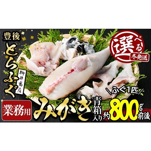 ふるさと納税 フグ 大分県 佐伯市 ＼12月発送/ 業務用 豊後とらふぐ 1匹 青箱入 (約800g前後) ふぐ フグ とらふぐ 皮 アラ あら てっちり鍋 鍋 ふぐ唐揚げ ふ…