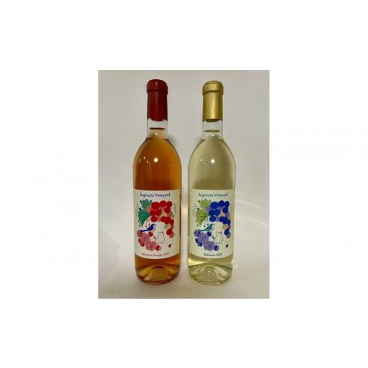 ふるさと納税 ワイン セット 鳥取県 北栄町 Delaware/Delaware Orange(デラウエァ)/(デラウエァ オレンジ)2本セット