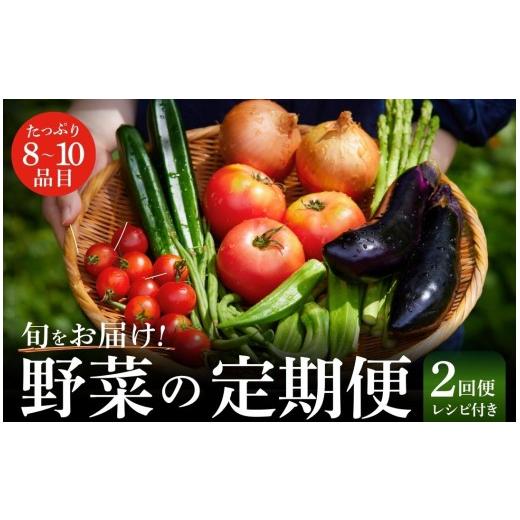 ふるさと納税 セット・詰合せ 静岡県 南伊豆町 季節の野菜定期便 野菜 2回便 新鮮 採れたて 旨い やさい 定番野菜 セット 定期便 野菜 野菜詰め合わせ じゃが…