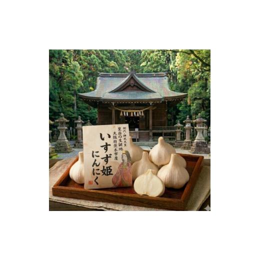 ふるさと納税 野菜類 薬味 大阪府 茨木市 訳あり 北摂茨木産 純国産 にんにく 500g 1758976