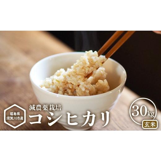 ふるさと納税 玄米 福島県 須賀川市 減農薬栽培 福島県須賀川市産 コシヒカリ玄米 30kg コシヒカリ 米 お米 玄米 ブランド米 銘柄米 備蓄 日本米 こしひかり …