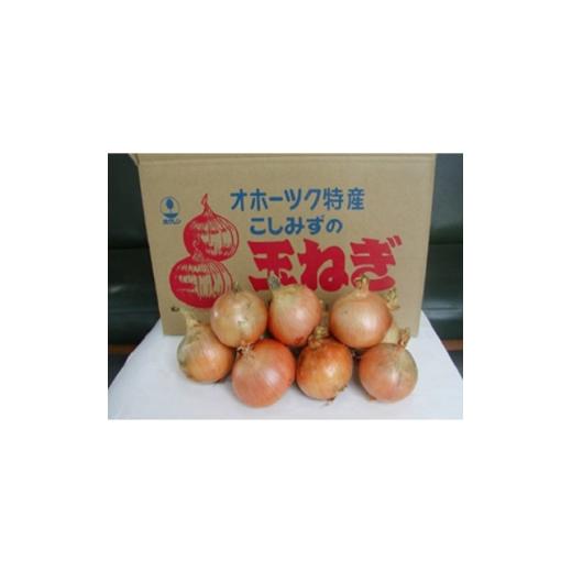ふるさと納税 野菜類 玉ねぎ 北海道 小清水町 北海道小清水町産 玉ねぎ20kg 甘み豊か 産地直送 1763299
