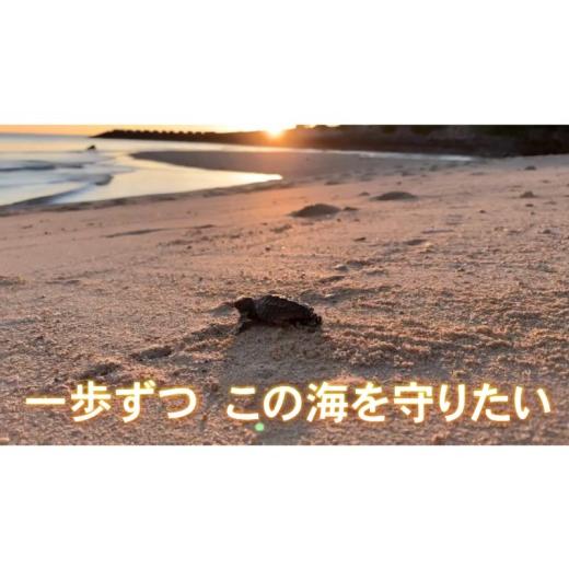 ふるさと納税 生き物 沖縄県 読谷村 読谷村の美しい海への寄付 沖縄 ウミガメ保護活動(応援寄付金)沿海環境保全・ウミガメの産卵地・沖縄の海を未来のこど…