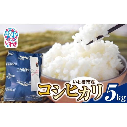 ふるさと納税 米 コシヒカリ 福島県 いわき市 令和8年産 いわき市産 コシヒカリ 5kg | いわき市産 コシヒカリ 新米 令和8年度産 令和8年産 白米 単一原料米 …