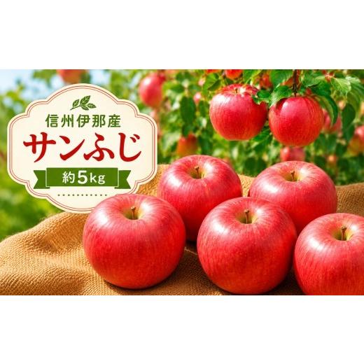 ふるさと納税 りんご 長野県 伊那市 先行受付 信州伊那産 りんご サンふじ 約5kg 11月上旬頃から順次発送予定 |りんご リンゴ 林檎 果物 くだもの サンふじ …