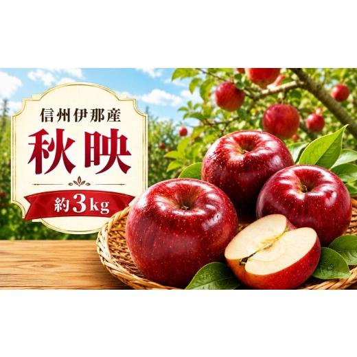 ふるさと納税 りんご 長野県 伊那市 先行受付 信州伊那産 りんご 秋映 約3kg 10月下旬頃から順次発送予定 |りんご リンゴ 林檎 果物 くだもの 秋映 伊那市 …