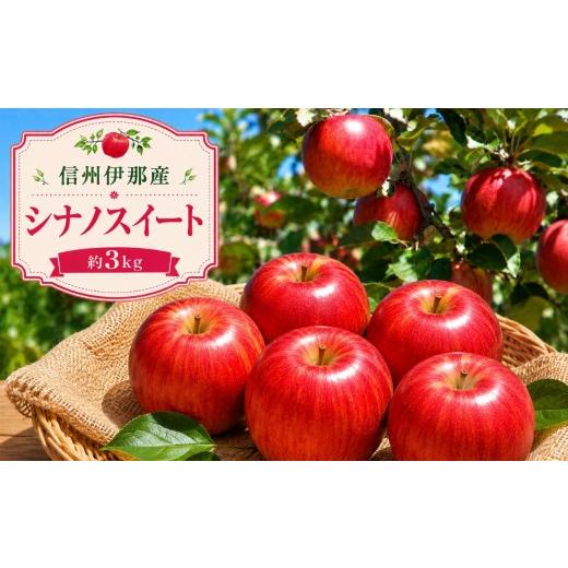 ふるさと納税 りんご 長野県 伊那市 先行受付 信州伊那産 りんご シナノスイート 約3kg 10月下旬頃から順次発送予定 |りんご リンゴ 林檎 果物 くだもの シ…