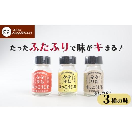 ふるさと納税 調味料・油 新潟県 新発田市 調味料 セット シーズニング しあわせのふたふりさんじょう 発酵塩 塩 プレーン にんにく ピリ辛 3本 保存食 長期保…