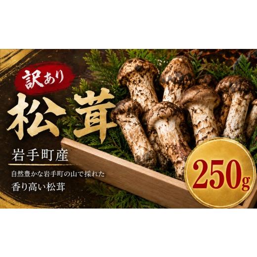 ふるさと納税 野菜類 きのこ 岩手県 岩手町 先行予約 天然松茸 訳あり 先行予約 選べる容量 250g 国産 国産松茸 岩手県産 岩手町産 訳あり松茸 松茸 まつたけ…