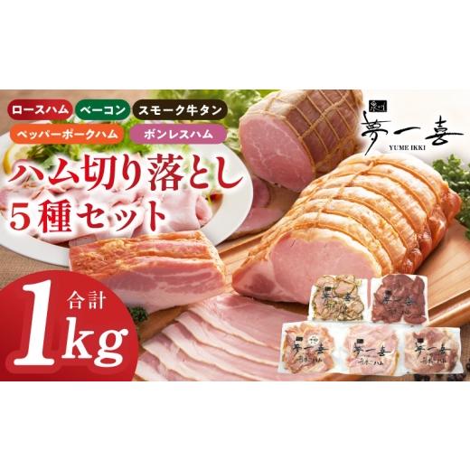 ふるさと納税 肉 ハム 大阪府 泉佐野市 ハム 切り落とし 5種セット 合計1kg ロースハム ベーコン スモークタン ペッパーポークハム ボンレスハム切り落とし 人…