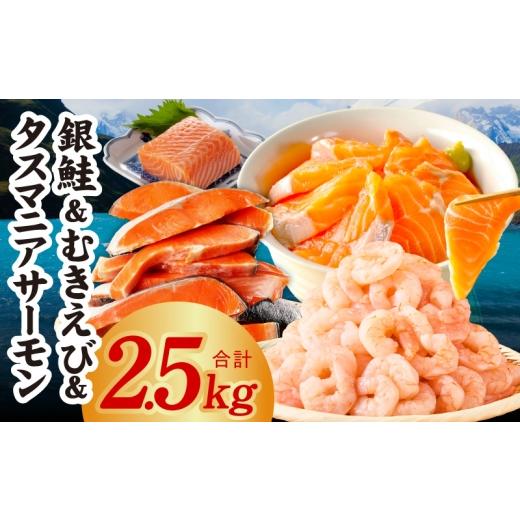 ふるさと納税 鮭・サーモン 大阪府 泉佐野市 銀鮭切り身 & むきえび & タスマニアサーモン 人気海鮮セット 総量2.5kg お試し 魚介 しゃけ エビ アトランティ…