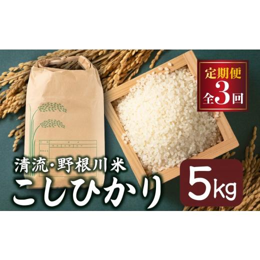 ふるさと納税 米 高知県 東洋町 定期便全3回 令和8年産 野根川米5kg こしひかり 米 国産 コメ 定期便全3回