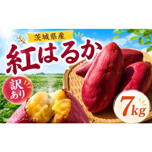 ふるさと納税 じゃがいも・サツマイモ 茨城県 筑西市 先行予約 さつまいも 訳あり 約 7kg 紅はるか 茨城県産 土付き 無選別 国産 わけあり 訳アリ サツマイモ…