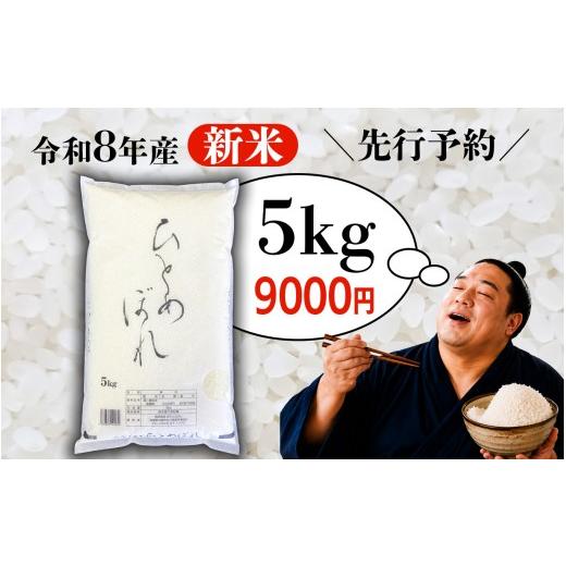 ふるさと納税 米 ひとめぼれ 宮城県 大崎市 新米 ＼先行予約/ 令和8年産 ひとめぼれ 5kg 精米 米 白米 ごはん 宮城県 大崎市