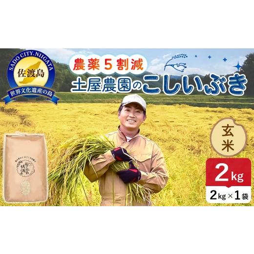 ふるさと納税 米 新潟県 佐渡市 佐渡島産こしいぶき 玄米 2kg 令和8年産 農薬5割減 土屋農園 | 新潟県産こしいぶき 新潟産こしいぶき 佐渡産こしいぶき こしい…