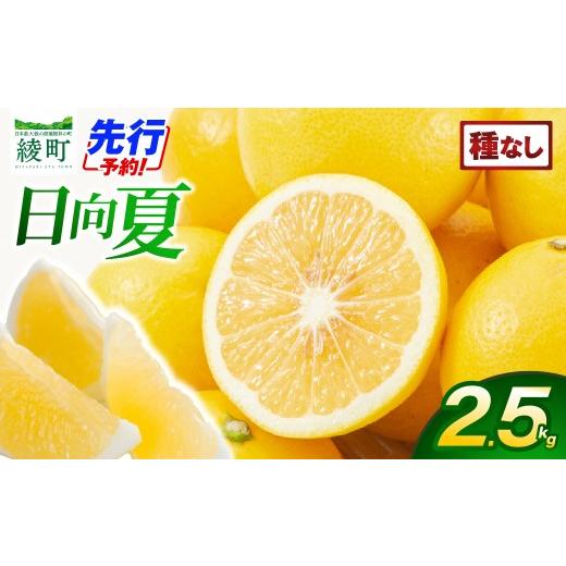 ふるさと納税 みかん・柑橘類 宮崎県 綾町 先行受付 初春の旬「日向夏」種なし 2.5kg 果物 フルーツ くだもの 柑橘 フルーツサンド おやつ スイーツ デザート…