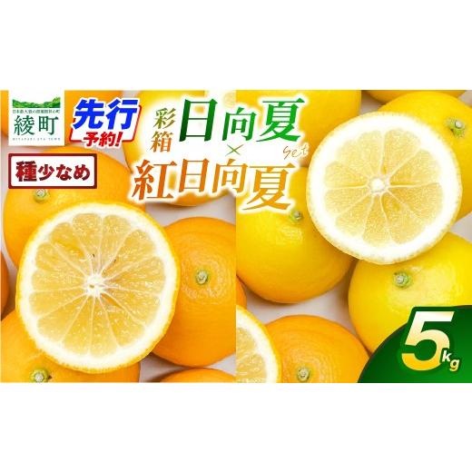 ふるさと納税 みかん・柑橘類 宮崎県 綾町 先行予約 紅日向夏と日向夏の彩り箱 5kg 果物 フルーツ くだもの 柑橘 種少なめ フルーツサンド おやつ スイーツ …
