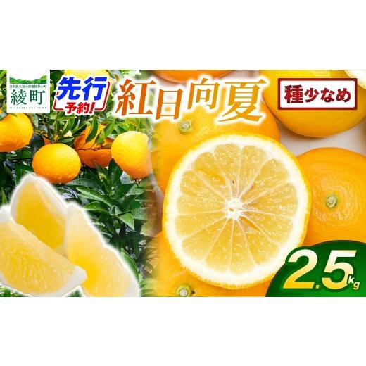 ふるさと納税 果物類 宮崎県 綾町 先行予約 紅日向夏 2.5kg(小核)果物 フルーツ くだもの 柑橘 種少なめ フルーツサンド おやつ スイーツ デザート ジャム …